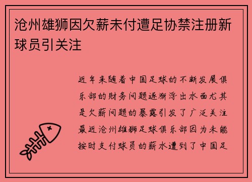 沧州雄狮因欠薪未付遭足协禁注册新球员引关注